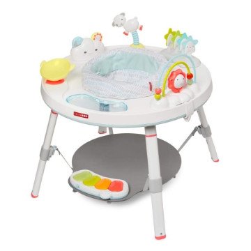 Skip Hop Baby Activity Center