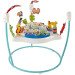 Fisher-Price Animal Wonders Jumperoo rental in Raleigh, NC