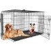 Medium Pet Crate rental in Panama City Beach Florida