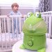 Cute Frog Humidifier rental in San Antonio