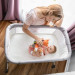 Baby Bassinet & Bedside Sleeper rental in San Diego, CA 