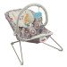 Bouncy Seat rental in St. Thomas - U.S. Virgin Islands
