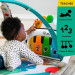 Baby Einstein Kickin Tunes & Language Play Gym rental in Delaware