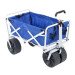 Beach Wagon rental in Big Bear