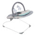 Bouncy Seat rental in Boston, MA