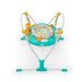 Bright Starts Jumper rental in Lake Geneva, WI
