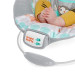 Bright Starts Bouncer Seat rental in Connecticut