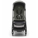Bugaboo Butterfly rental in Palm Springs, CA