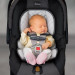 Chicco Keyfit 30 Infant Car Seat rental in Boston, MA