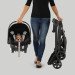 Chicco Keyfit Caddy rental in Phoenix - Scottsdale, AZ