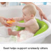 Fisher-Price 4-in-1 Sling 'n Seat rental in Flagstaff Arizona
