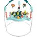 Fisher-Price Jumperoo Activity Center rental in Panama City Beach Florida