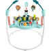 Fisher-Price Baby Bouncer Activity Center rental in Delaware