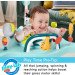 Fisher-Price Jumperoo Activity Center rental in Panama City Beach Florida