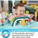 Fisher-Price Baby Bouncer Activity Center rental in Delaware