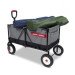 Kid's Cargo Wagon rental in Las Vegas, NV