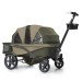 Gladly 4 seater wagon rental in Hilton Head Island South Carolina