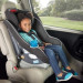 2 Convertible Toddler Car Seats Bundle rental in Connecticut