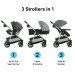 Graco Modes Pramette Stroller rental in St. Petersburg-Clearwater