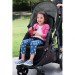 Graco Travel System rental in Pensacola, FL