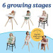 Graco Table2Table Lux Highchair rental in Boston, MA