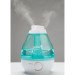 Humidifier rental in Big Bear