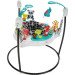 Fisher-Price Jumperoo rental in Lake Geneva, WI