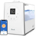 LEVOIT Warm and Cool Mist Humidifier rental in San Francisco, CA