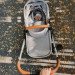 Mompush Wiz 2-in-1 Baby Stroller rental in Tacoma, WA