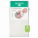 Mini Crib & Mini Newton Mattress Bundle rental in Sanibel, Captiva & Fort Myers Beach