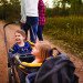 Stroller Wagon  rental in Houston, TX