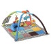 Baby Activity Gym rental in Richmond, VA
