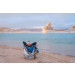Pod Rocker Collapsible Rocking Chair rental in Connecticut