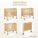 Delta Mini Portable Crib  rental in Flagstaff Arizona