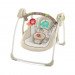 Portable Swing
