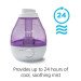 Cool Mist Ultrasonic Humidifier rental in New York