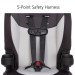 Booster w/ Harness rental in Anaheim - Disneyland