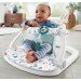 Fisher-Price Sit-Me-Up Floor Seat  rental in Panama City Beach Florida
