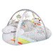 Skip Hop Activity Gym rental in New York