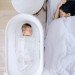 SNOO Smart Sleeper Bassinet rental in St. Petersburg-Clearwater