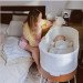 SNOO Smart Sleeper Bassinet rental in St. Petersburg-Clearwater