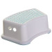 Potty Seat + Step Stool + Bath Toys Bundle rental in Richmond, VA