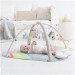 Skip Hop Baby Play Gym rental in New Jersey