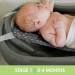 The First Years Baby Bath Tub rental in Delaware