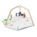 The Play Gym rental in Chicago, IL