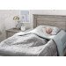 Foam Bed Rails rental in St. Petersburg-Clearwater