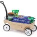 Family Wagon rental in Sedona, AZ