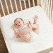Crib with Organic Mattress and Organic Sheets rental in San Antonio