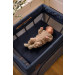 UPPAbaby Remi Playard + Bassinet rental in Palm Springs, CA