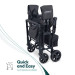 WONDERFOLD W2 Double Stroller Wagon rental in Richmond, VA